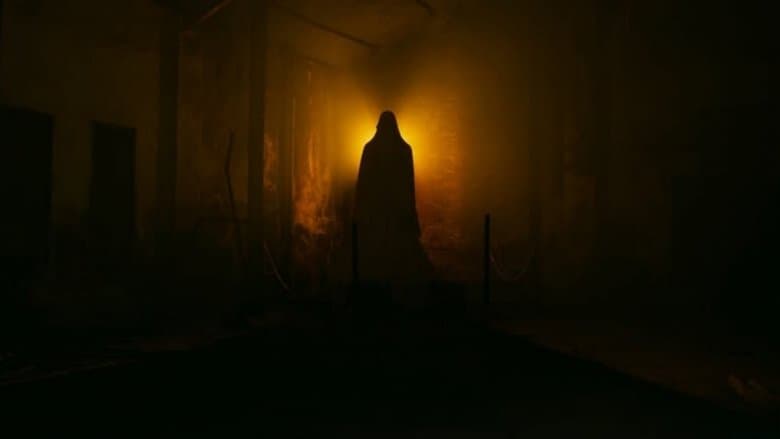 サトウキビは知っている